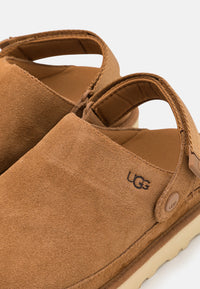 UGG Goldenstar Clog - Women's - Chestnut